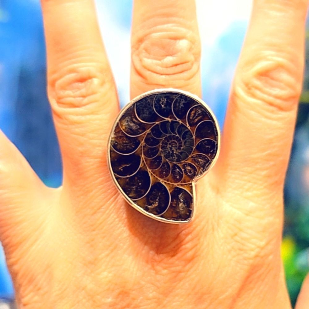Ammonite Ring, Solid Sterling Silver Gemstone Ring